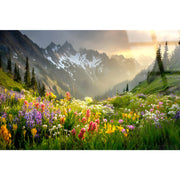 Classy Living Vibrant Alpine Wildflower Misty, Green/Gold/Purple/White