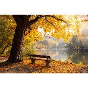 Classy Living Gilded Autumn Lakeside 40"x60", Gold/Brown/Gray