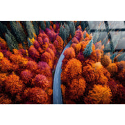 Classy Living Expansive Autumn Bend 40"x60", Orange/Red/Green/Black