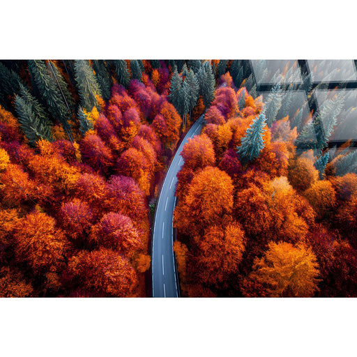 Classy Living Expansive Autumn Bend 40"x60", Orange/Red/Green/Black
