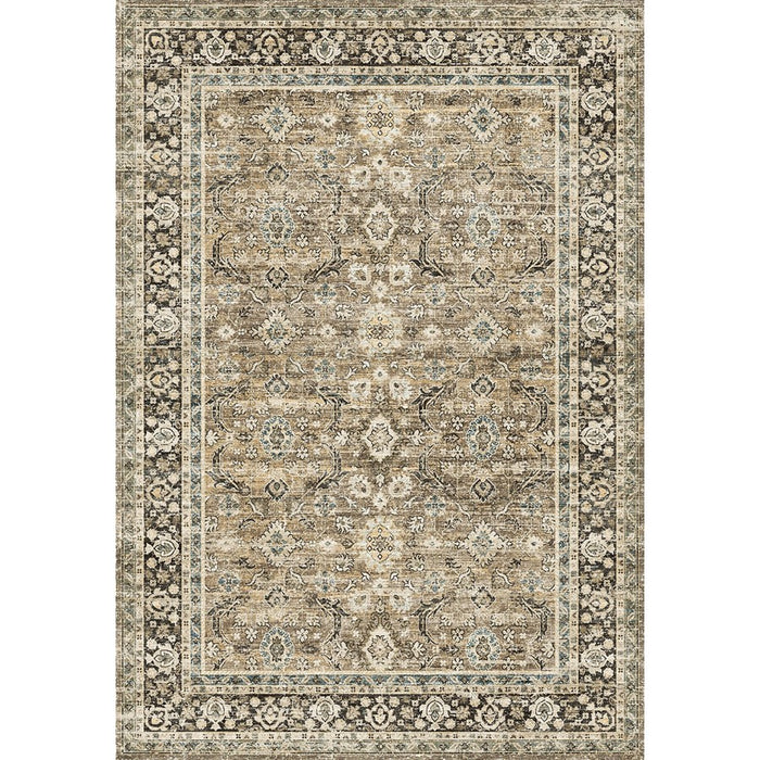 Haus Appeal Legend 5'3'' x 7'3'' Area Rug, Brown Ivory - HA-RYL10045-7