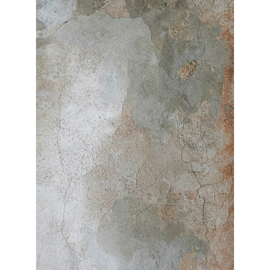 Haus Appeal Vision 7'10" x 10'6" Area Rug, Multi