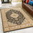 Haus Appeal Palace 5'3'' x 7'3'' Area Rug, Black Medallion
