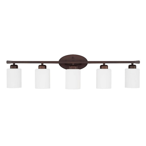 HomePlace by Capital Lighting Dixon Vanity Light