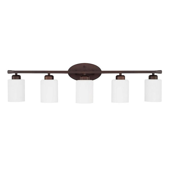 HomePlace by Capital Lighting Dixon Vanity Light