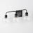 HomePlace by Capital Lighting Tanner Vanity Light