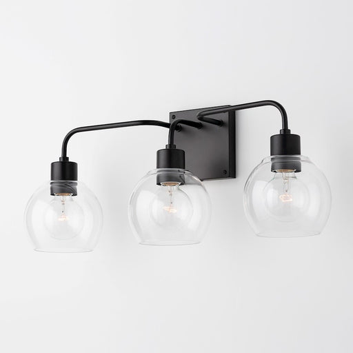 HomePlace by Capital Lighting Tanner Vanity Light