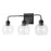 HomePlace by Capital Lighting Tanner Vanity Light