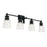 Capital Lighting Rory 2 Light Vanity in Matte Black/Clear