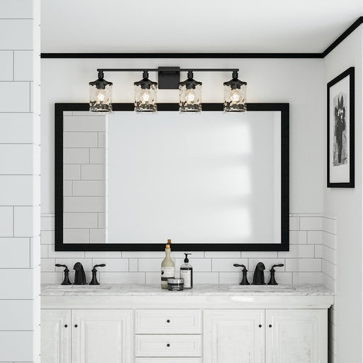 HomePlace by Capital Lighting Colton Vanity Light