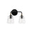 Capital Lighting Amara 2 Light Vanity, Black/Brass/Clear Seeded
