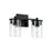 Capital Lighting Mason 2 Light Vanity