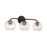 Capital Lighting Dolan 3 Light Vanity