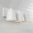 Capital Lighting Alden 3 Light Vanity