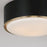 Capital Lighting Carlton 3 Light Flush Mount, Brass/Black/Soft White