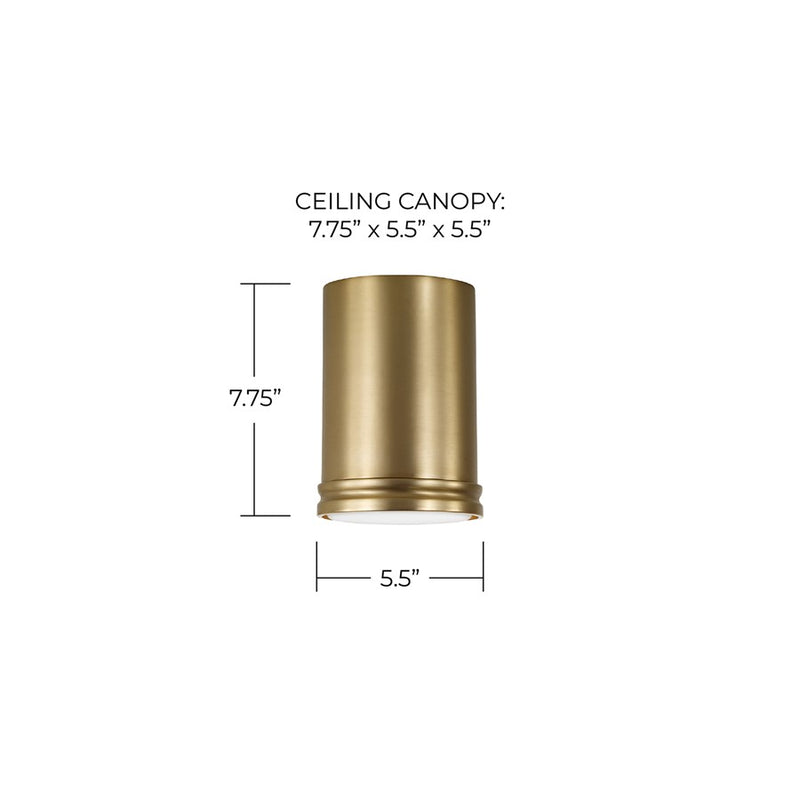 Capital Lighting Griffin 1 Light 6" Flush Mount, Aged Brass