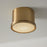 Capital Lighting Griffin 1 Light 9" Flush Mount, Aged Brass