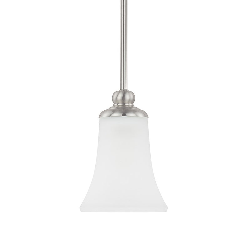 HomePlace by Capital Lighting Griffin 1 Light Pendant