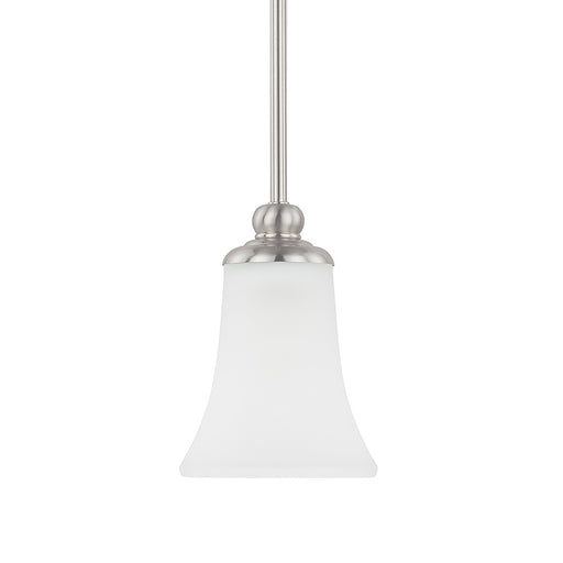 HomePlace by Capital Lighting Griffin 1 Light Pendant