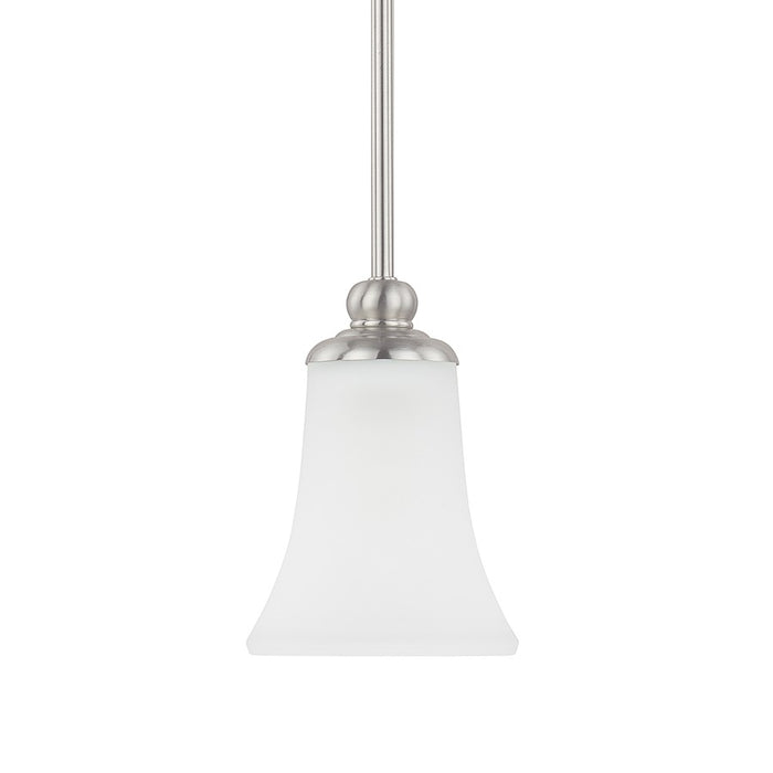 HomePlace by Capital Lighting Griffin 1 Light Pendant