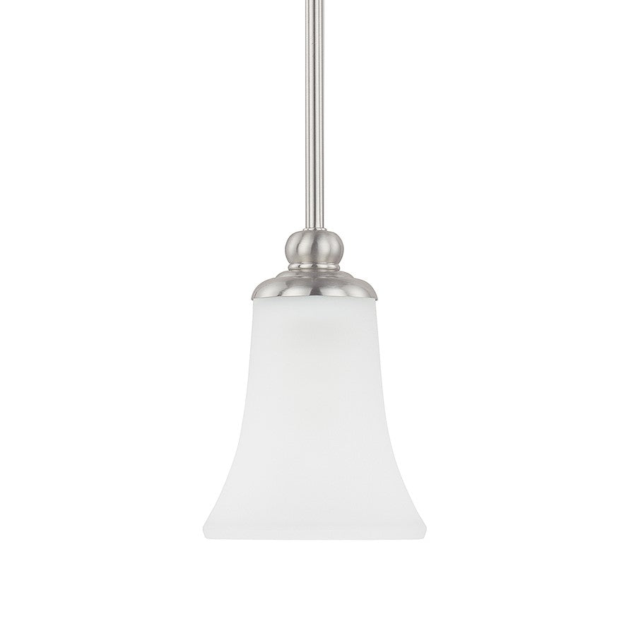 HomePlace by Capital Lighting Griffin 1 Light Pendant