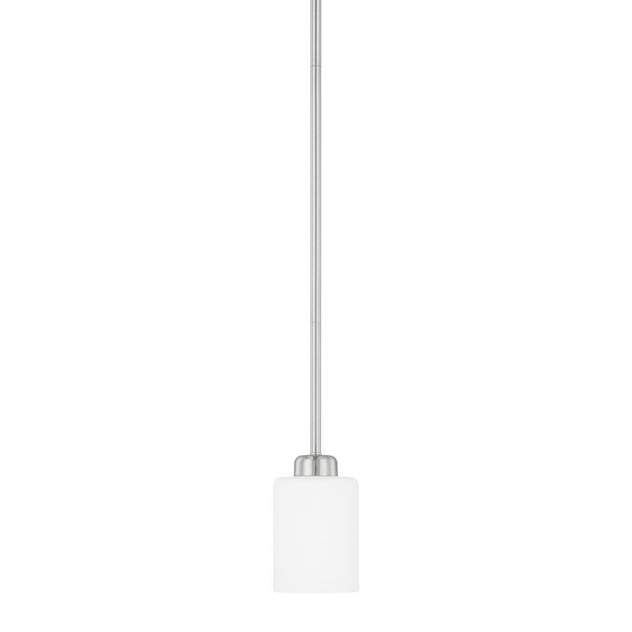HomePlace by Capital Lighting Dixon 1 Light Pendant