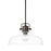 Capital Lighting 1 Light Dome Pendant