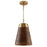 Capital Lighting 1 Light Pendant, Medium Wood and Matte Brass
