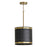 Capital Lighting Barrow 1 Light Pendant, Galvanized Black/True Brass