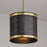 Capital Lighting Barrow 1 Light Pendant, Galvanized Black/True Brass