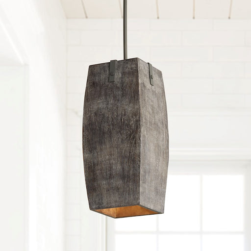 Capital Lighting 1-Light Pendant, Carbon Grey Iron Silk