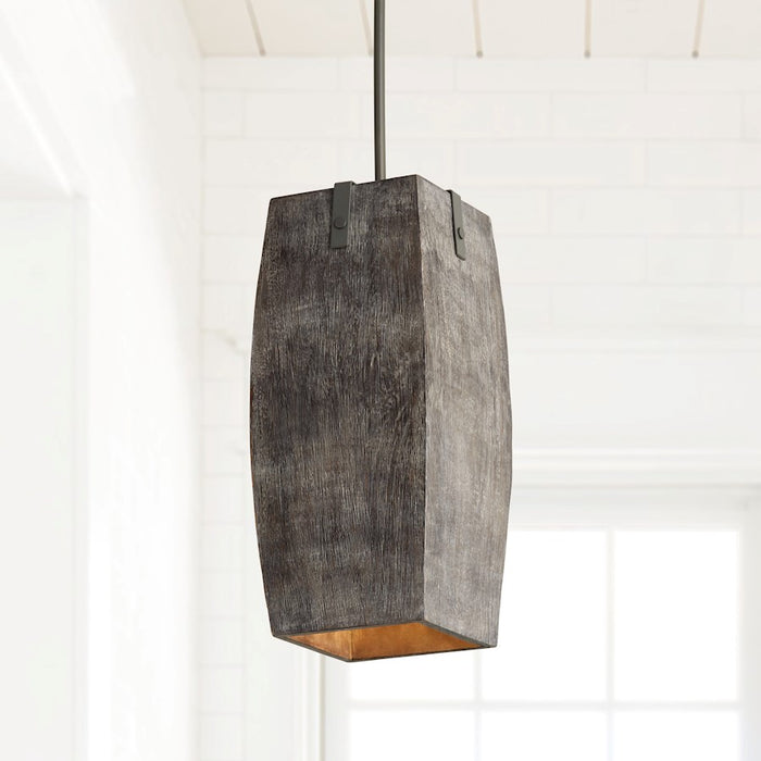Capital Lighting 1-Light Pendant, Carbon Grey Iron Silk