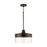 Capital Lighting 1-Light Pendant, Buffed Bronze/Clear Seeded