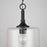 Capital Lighting Carter 1-Light Pendant