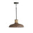 Capital Lighting Jacob 1-Light Pendant, Grey Wash Iron Silk