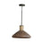 Capital Lighting Jacob 1-Light Pendant, Grey Wash Iron Silk