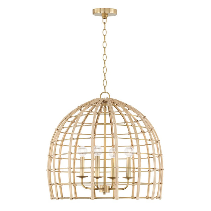 Capital Lighting Wren Pendant, Matte Brass