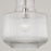 Capital Lighting Nyla 1 Light Pendant, Clear Fluted