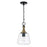 Capital Lighting Amara 1 Light Pendant, Black/Brass/Clear Seeded