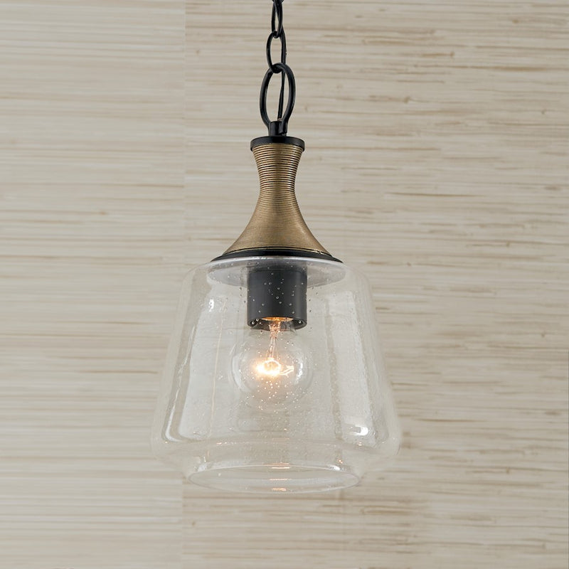 Capital Lighting Amara 1 Light Pendant, Black/Brass/Clear Seeded