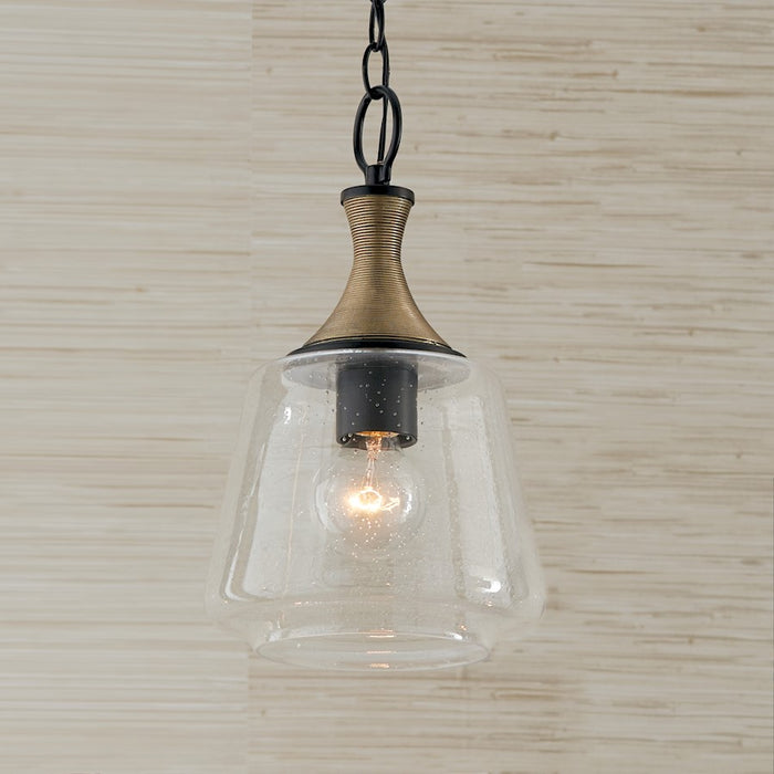 Capital Lighting Amara 1 Light Pendant, Black/Brass/Clear Seeded