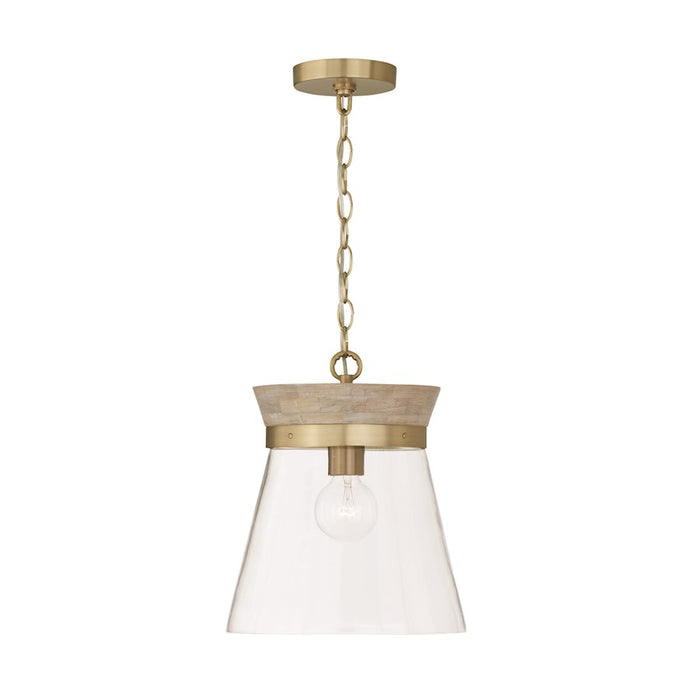 Capital Lighting Finn 1 Light Pendant
