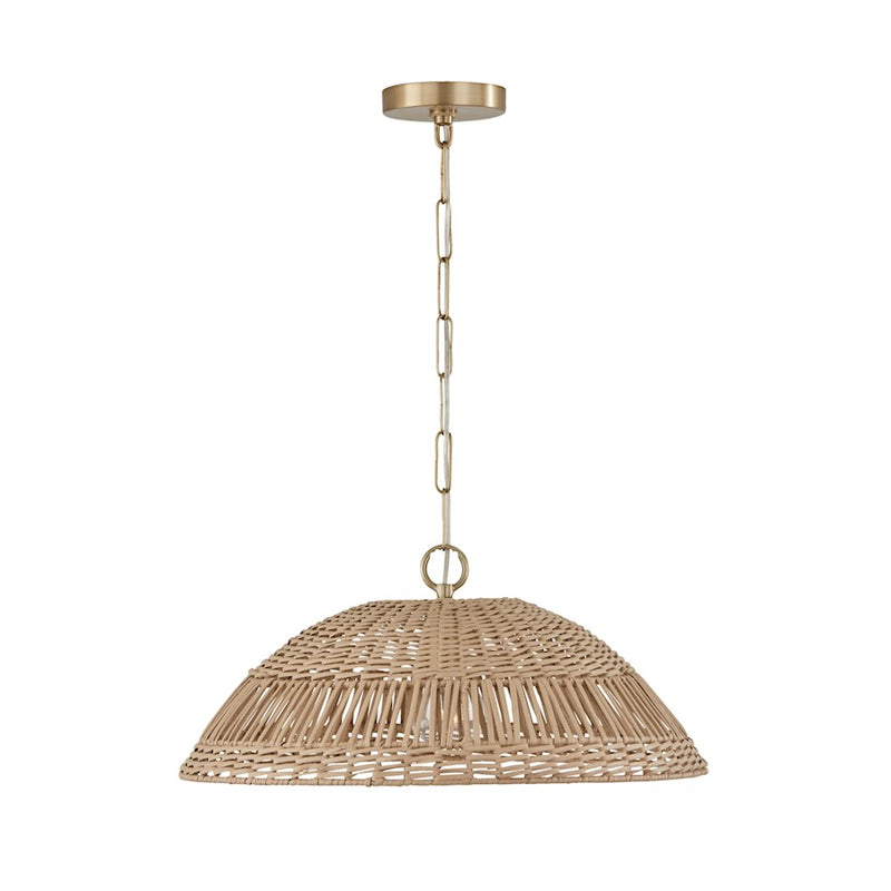 Capital Lighting Small Naomi 1 Light Pendant