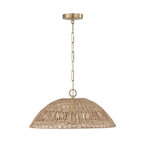 Capital Lighting Small Naomi 1 Light Pendant