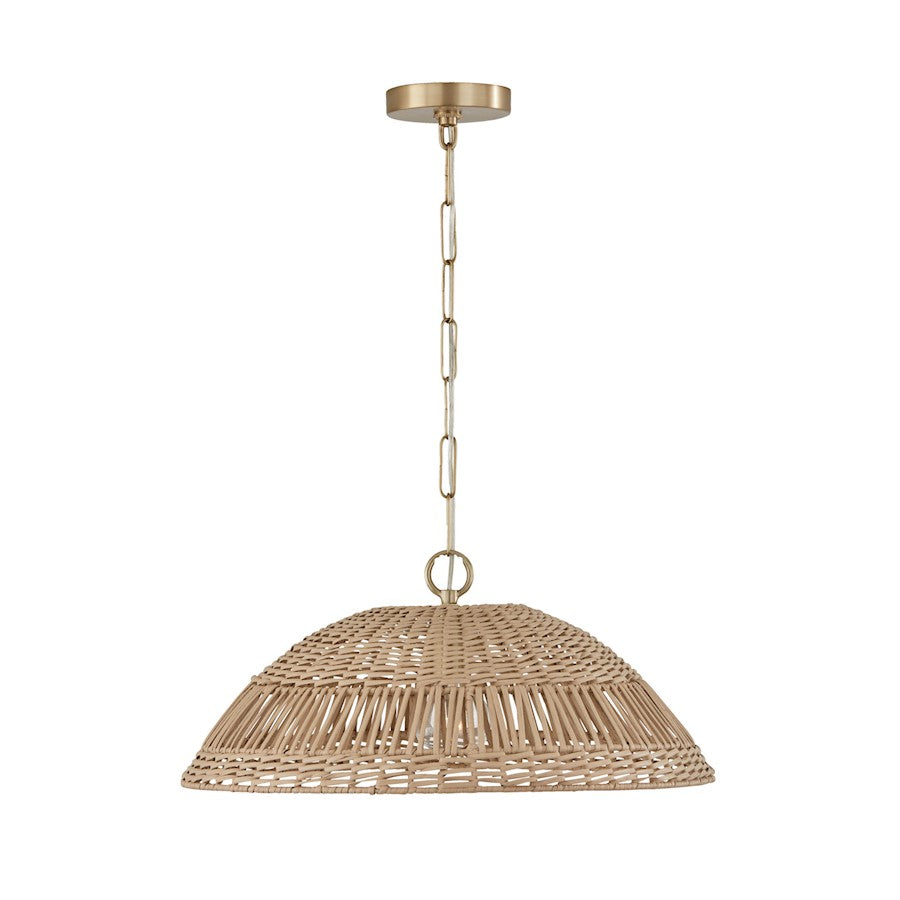 Capital Lighting Small Naomi 1 Light Pendant
