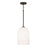 Homeplace Lighting Lawson 1 Light Pendant