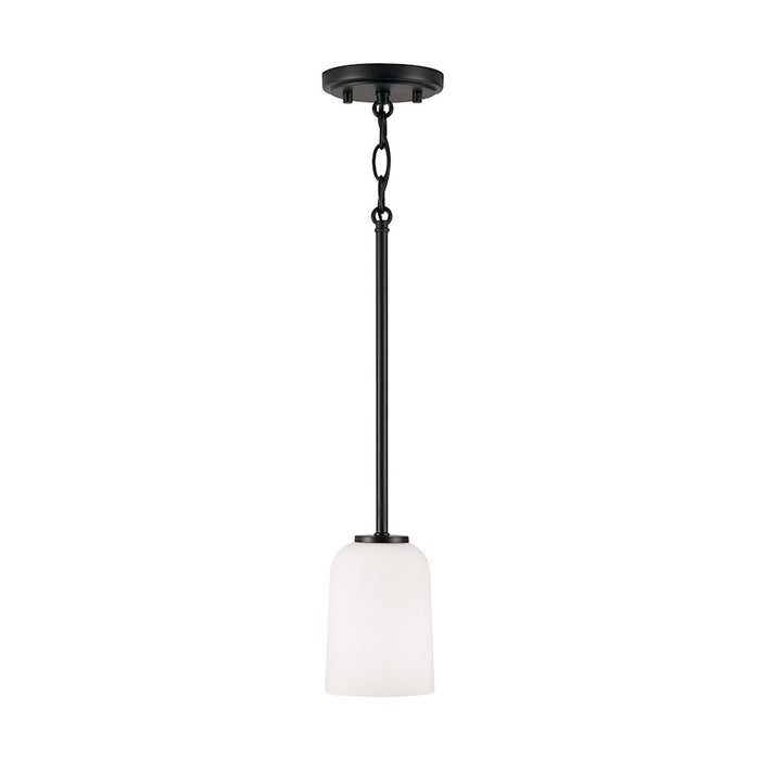 Homeplace Lighting Lawson 1 Light Pendant