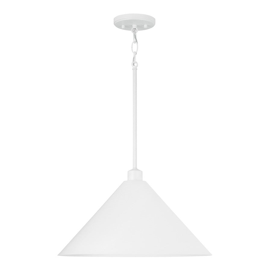 Capital Lighting Alden 1 Light Pendant