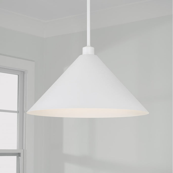 Capital Lighting Alden 1 Light Pendant
