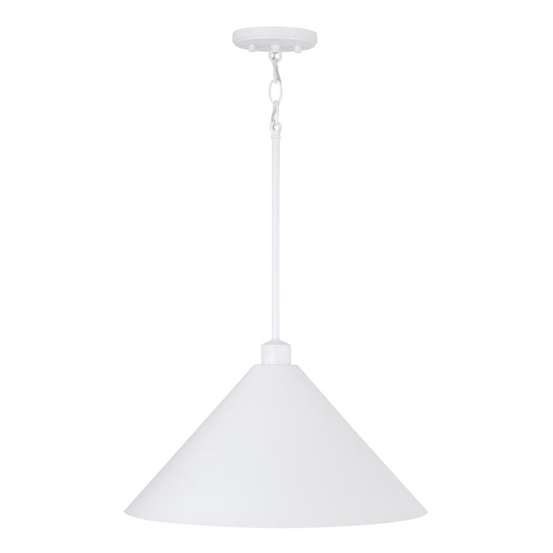 Capital Lighting Alden 1 Light Pendant